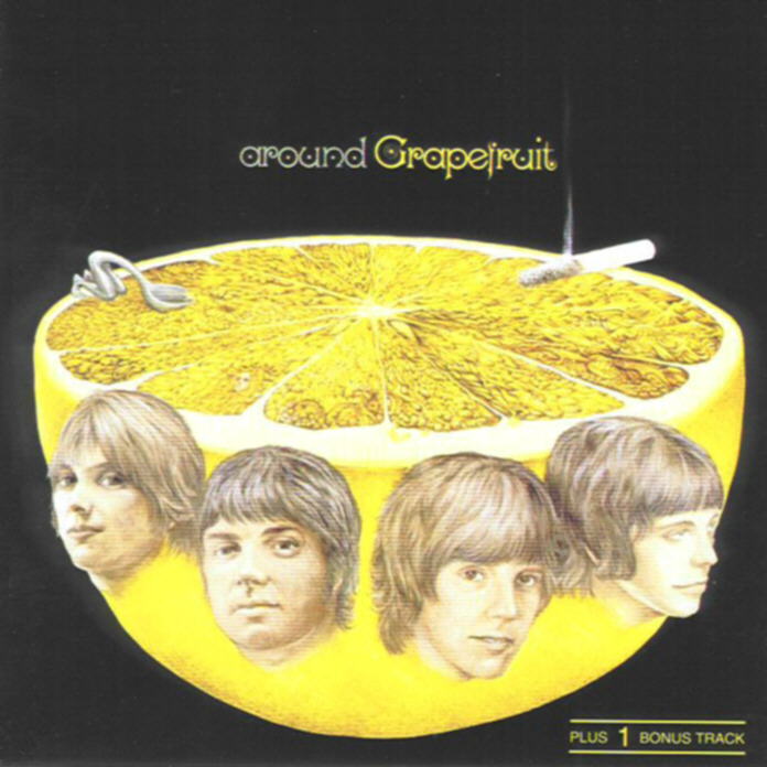 grapefruit_around_grapefruit_front.jpg